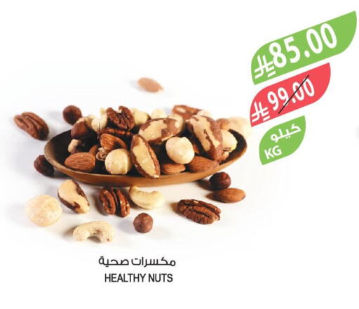 available at المزرعة in مملكة العربية السعودية, السعودية, سعودية - الخرج