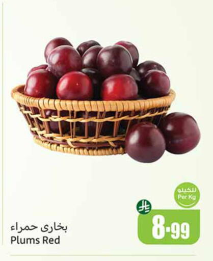Plums available at Othaim Markets in KSA, Saudi Arabia, Saudi - Bishah