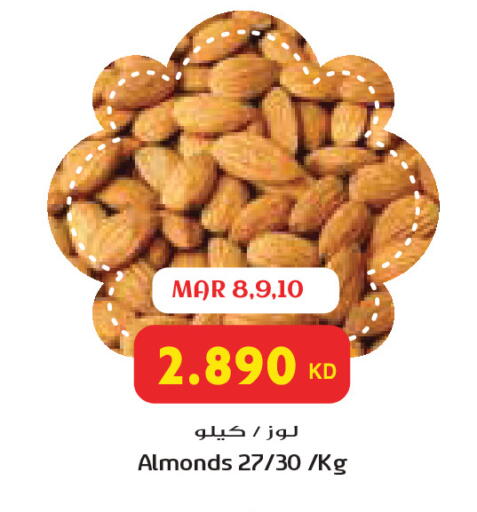 available at Grand Costo in Kuwait - Ahmadi Governorate