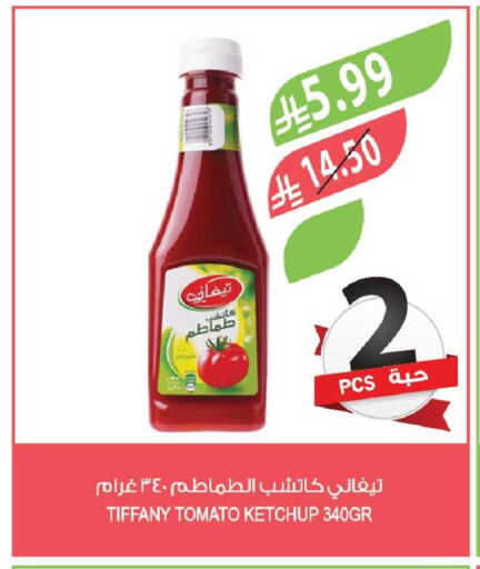 Tomato available at Farm  in KSA, Saudi Arabia, Saudi - Tabuk