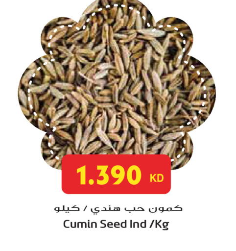 Cumin available at جراند هايبر in الكويت - مدينة الكويت