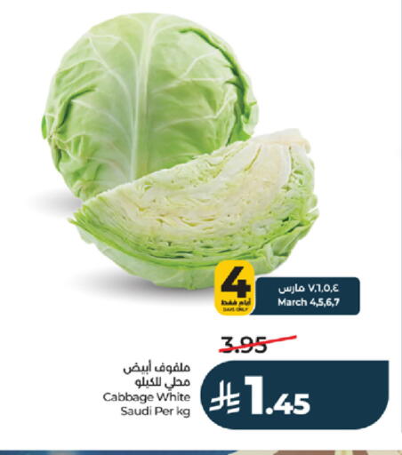 Cabbage from Saudi Arabia available at LULU Hypermarket in KSA, Saudi Arabia, Saudi - Yanbu