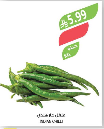 Chilli from India available at المزرعة in مملكة العربية السعودية, السعودية, سعودية - جدة