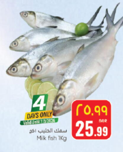 available at City Flower in KSA, Saudi Arabia, Saudi - Sakaka