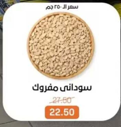 available at بيت الجملة in Egypt - القاهرة