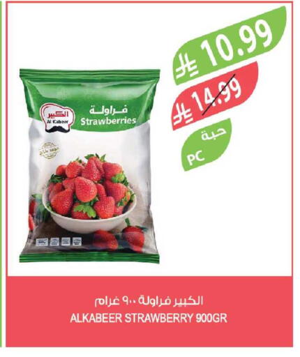 Strawberry available at Farm  in KSA, Saudi Arabia, Saudi - Tabuk