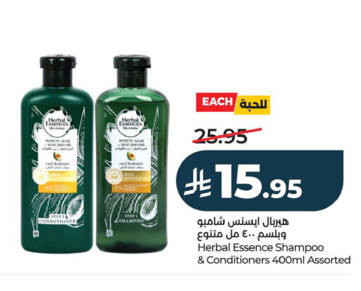 Avocado available at LULU Hypermarket in KSA, Saudi Arabia, Saudi - Al Hasa