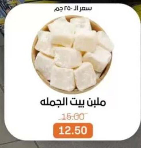 available at بيت الجملة in Egypt - القاهرة