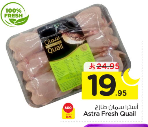 available at نستو in مملكة العربية السعودية, السعودية, سعودية - المجمعة