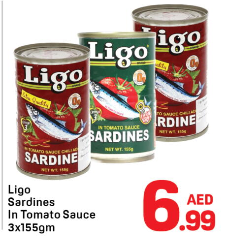 Tomato available at دي تو دي in الإمارات العربية المتحدة , الامارات - دبي