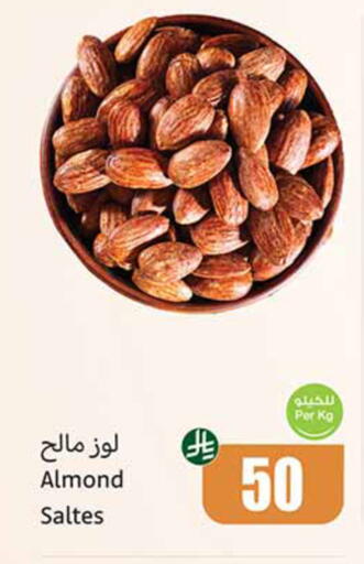 available at Othaim Markets in KSA, Saudi Arabia, Saudi - Ar Rass