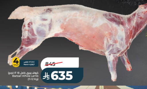 available at LULU Hypermarket in KSA, Saudi Arabia, Saudi - Hail