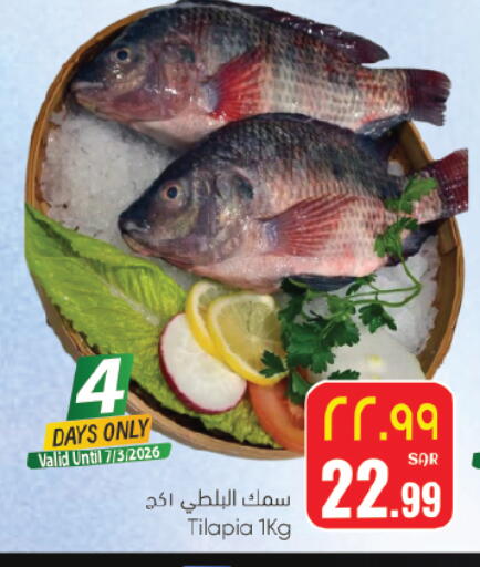 available at City Flower in KSA, Saudi Arabia, Saudi - Hail