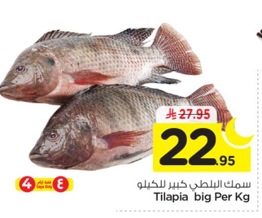 available at نستو in مملكة العربية السعودية, السعودية, سعودية - بريدة