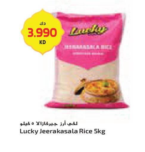 available at Grand Costo in Kuwait - Ahmadi Governorate