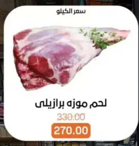 available at بيت الجملة in Egypt - القاهرة