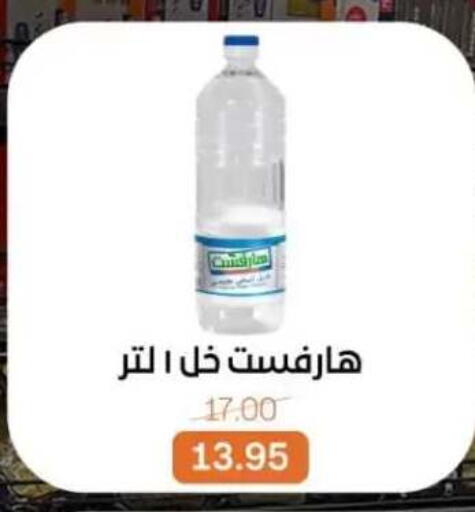 available at بيت الجملة in Egypt - القاهرة