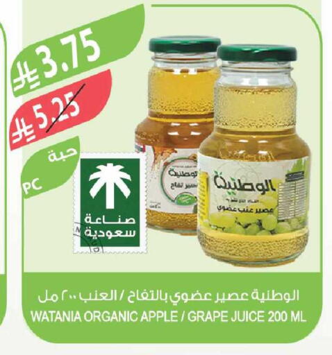 Apple available at Farm  in KSA, Saudi Arabia, Saudi - Najran