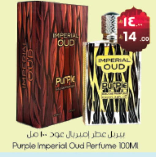 available at ستي فلاور in مملكة العربية السعودية, السعودية, سعودية - سكاكا