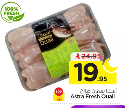 available at نستو in مملكة العربية السعودية, السعودية, سعودية - الخرج