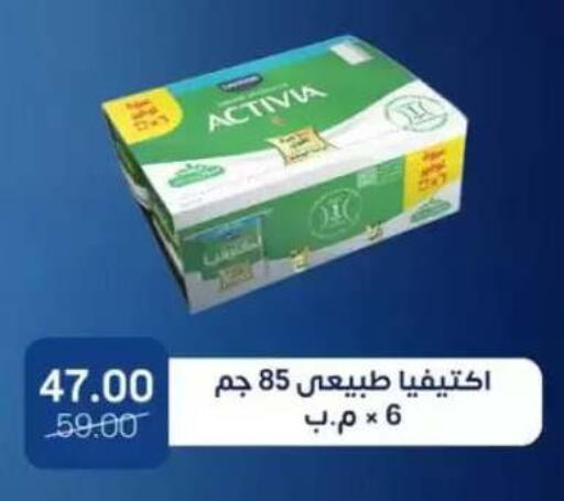 available at بيت الجملة in Egypt - القاهرة