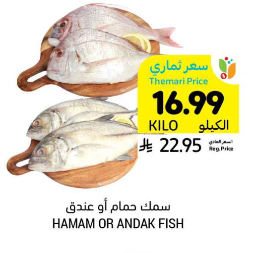 available at أسواق التميمي in مملكة العربية السعودية, السعودية, سعودية - بريدة