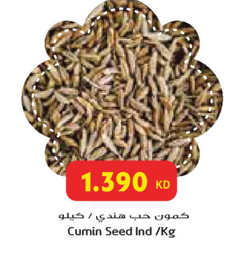 Cumin available at Grand Costo in Kuwait - Ahmadi Governorate