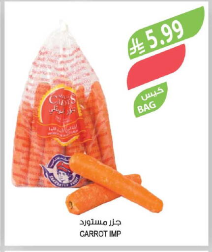 Carrot available at Farm  in KSA, Saudi Arabia, Saudi - Najran