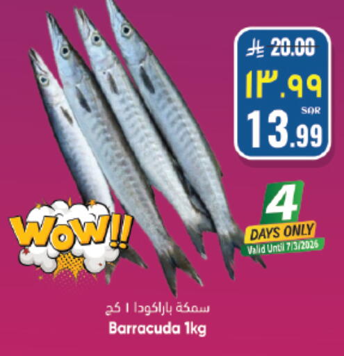 available at City Flower in KSA, Saudi Arabia, Saudi - Sakaka