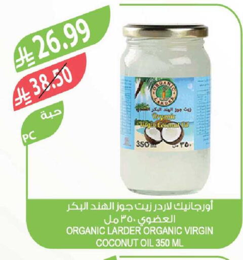 Coconut available at Farm  in KSA, Saudi Arabia, Saudi - Yanbu