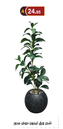 available at الحسين توب أب in مملكة العربية السعودية, السعودية, سعودية - الرياض