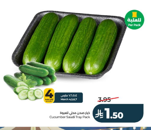 Cucumber from Saudi Arabia available at LULU Hypermarket in KSA, Saudi Arabia, Saudi - Al-Kharj