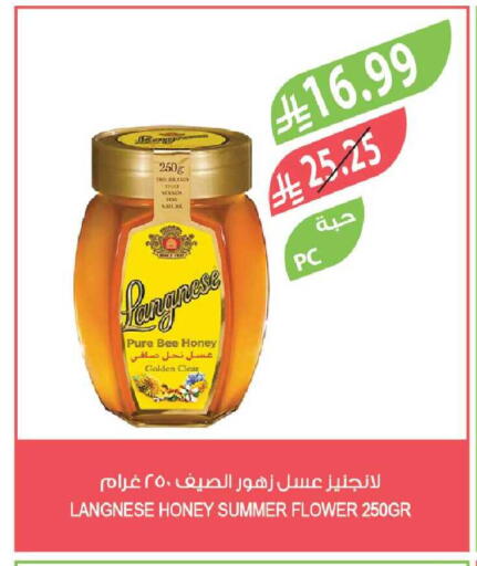 available at المزرعة in مملكة العربية السعودية, السعودية, سعودية - الباحة