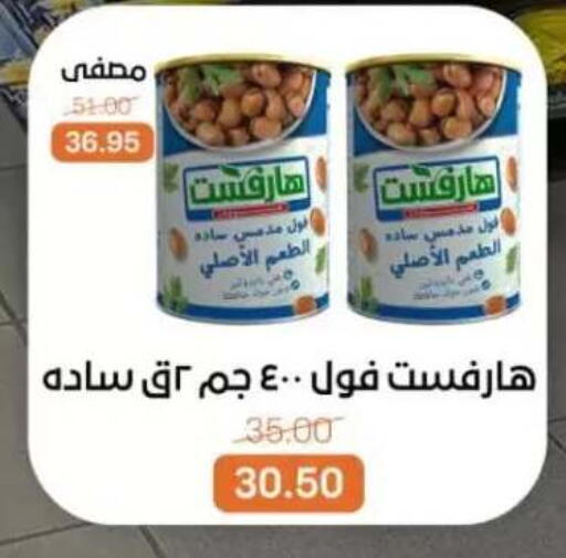 available at بيت الجملة in Egypt - القاهرة