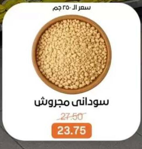 available at Beit El Gomla in Egypt - Cairo