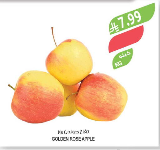 Apple available at Farm  in KSA, Saudi Arabia, Saudi - Najran