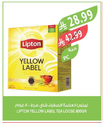 available at المزرعة in مملكة العربية السعودية, السعودية, سعودية - أبها