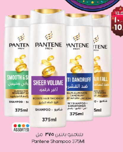 available at City Flower in KSA, Saudi Arabia, Saudi - Jubail