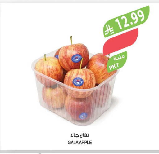 Apple available at Farm  in KSA, Saudi Arabia, Saudi - Najran