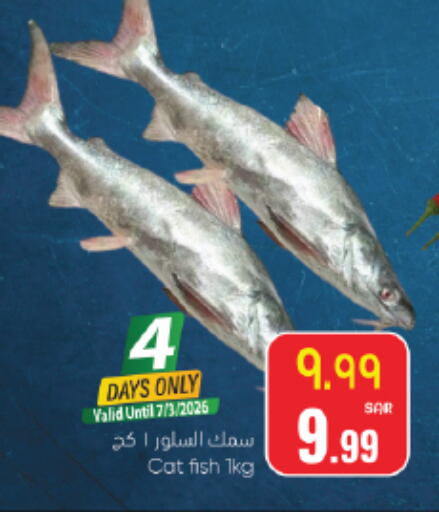 available at ستي فلاور in مملكة العربية السعودية, السعودية, سعودية - نجران