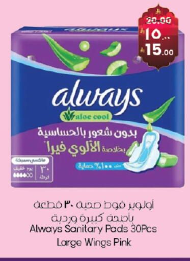 available at ستي فلاور in مملكة العربية السعودية, السعودية, سعودية - حائل‎