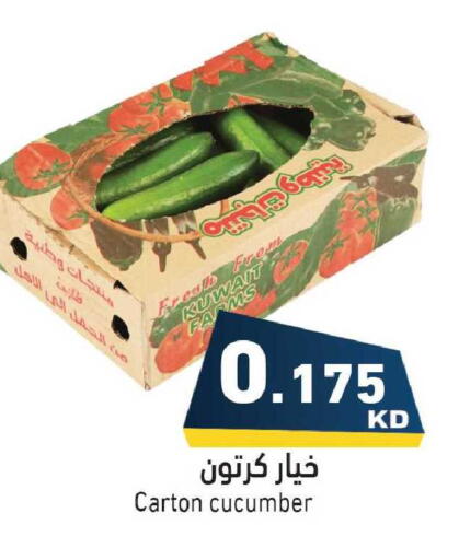 Cucumber from Kuwait available at  رامز in الكويت - مدينة الكويت