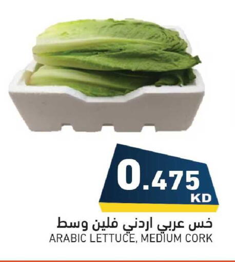 Lettuce available at  رامز in الكويت - مدينة الكويت