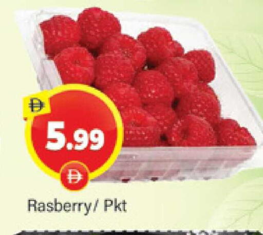 available at المدينة in الإمارات العربية المتحدة , الامارات - دبي