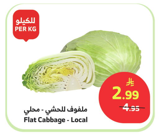 Cabbage available at Al Raya in KSA, Saudi Arabia, Saudi - Najran