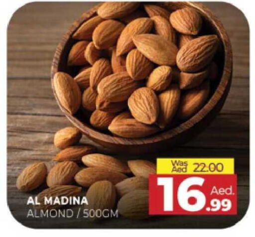 available at المدينة in الإمارات العربية المتحدة , الامارات - الشارقة / عجمان