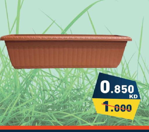 available at Ramez in Kuwait - Jahra Governorate