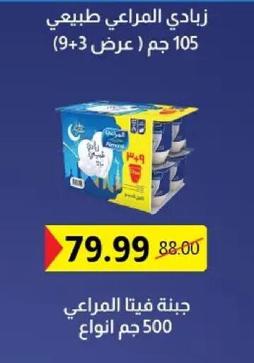 available at الحبيب ماركت in Egypt - القاهرة