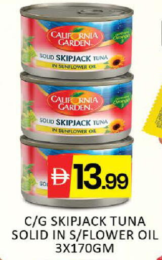 Mango available at مانجو هايبرماركت in الإمارات العربية المتحدة , الامارات - دبي