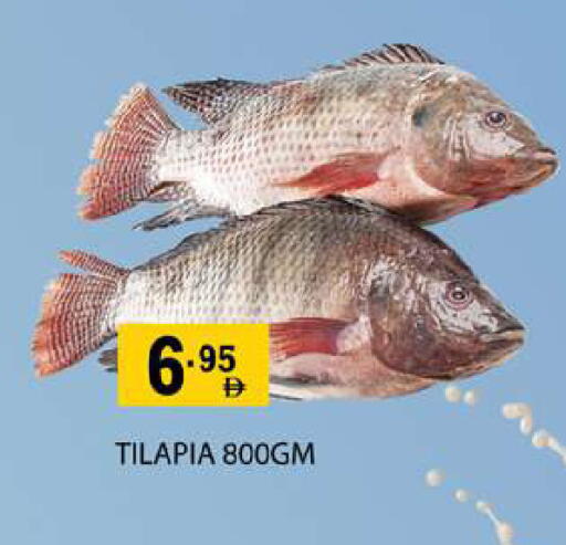 available at زين مارت سوبرماركت in الإمارات العربية المتحدة , الامارات - رَأْس ٱلْخَيْمَة